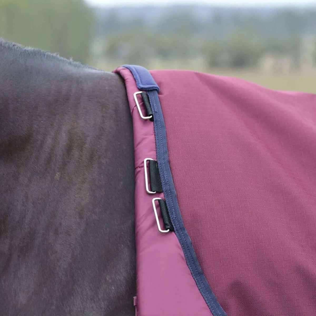 WeatherBeeta ComFiTec Essential Turnout Detach-A-Neck 50g Burgund/Navy