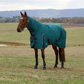 WeatherBeeta ComFiTec Classic Turnout Combo 360g Forest Green/Black