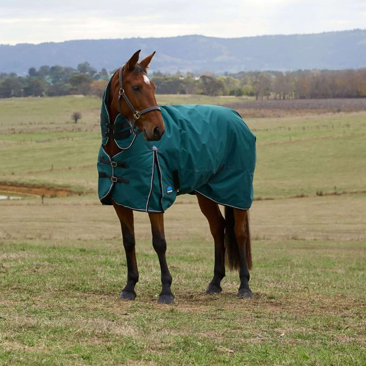 WeatherBeeta ComFiTec Classic Turnout Combo 360g Forest Green/Black