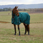 WeatherBeeta ComFiTec Classic Turnout Combo 360g Forest Green/Black