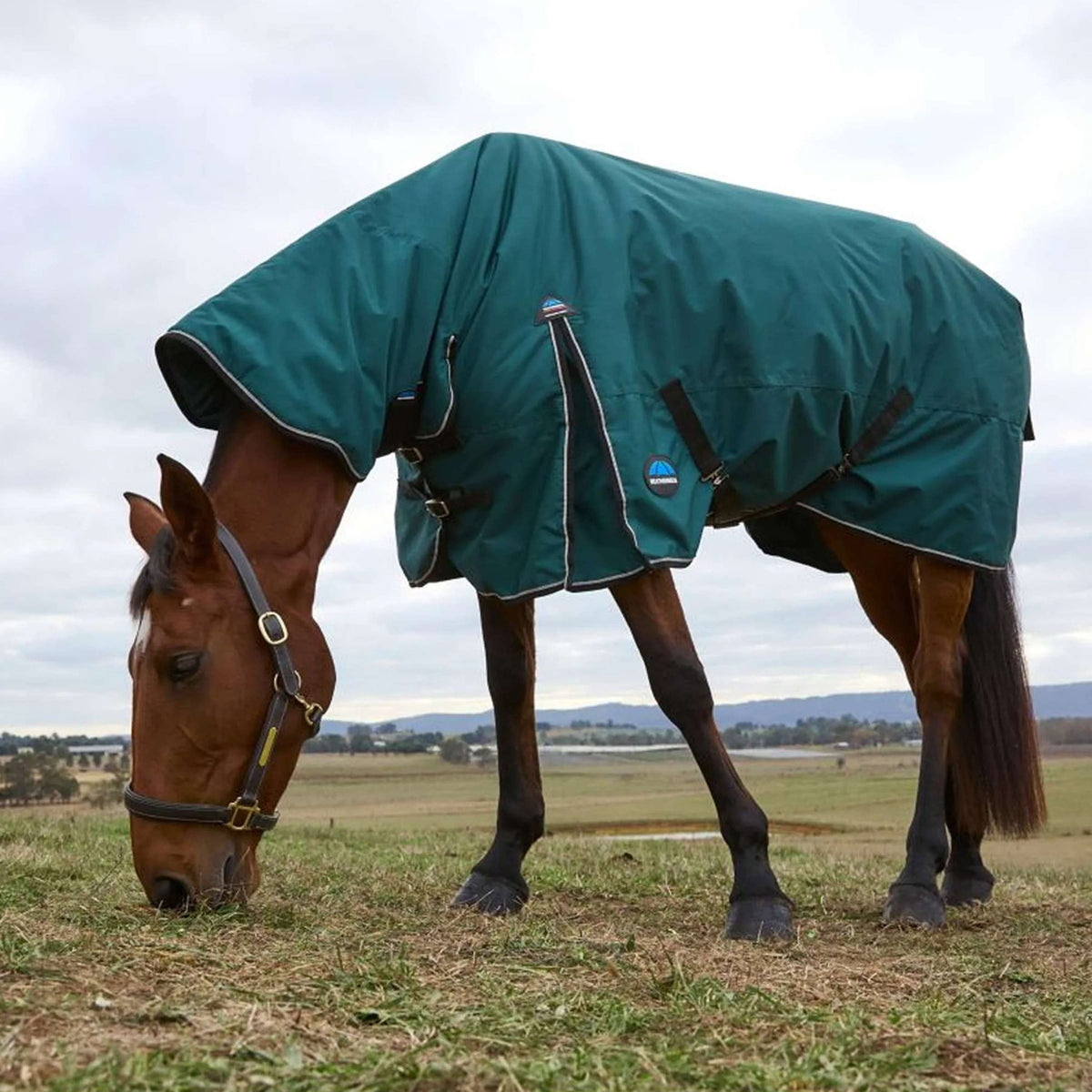 WeatherBeeta ComFiTec Classic Turnout Combo 360g Forest Green/Black