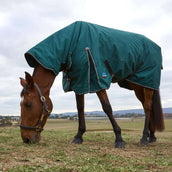 WeatherBeeta ComFiTec Classic Turnout Combo 360g Forest Green/Black