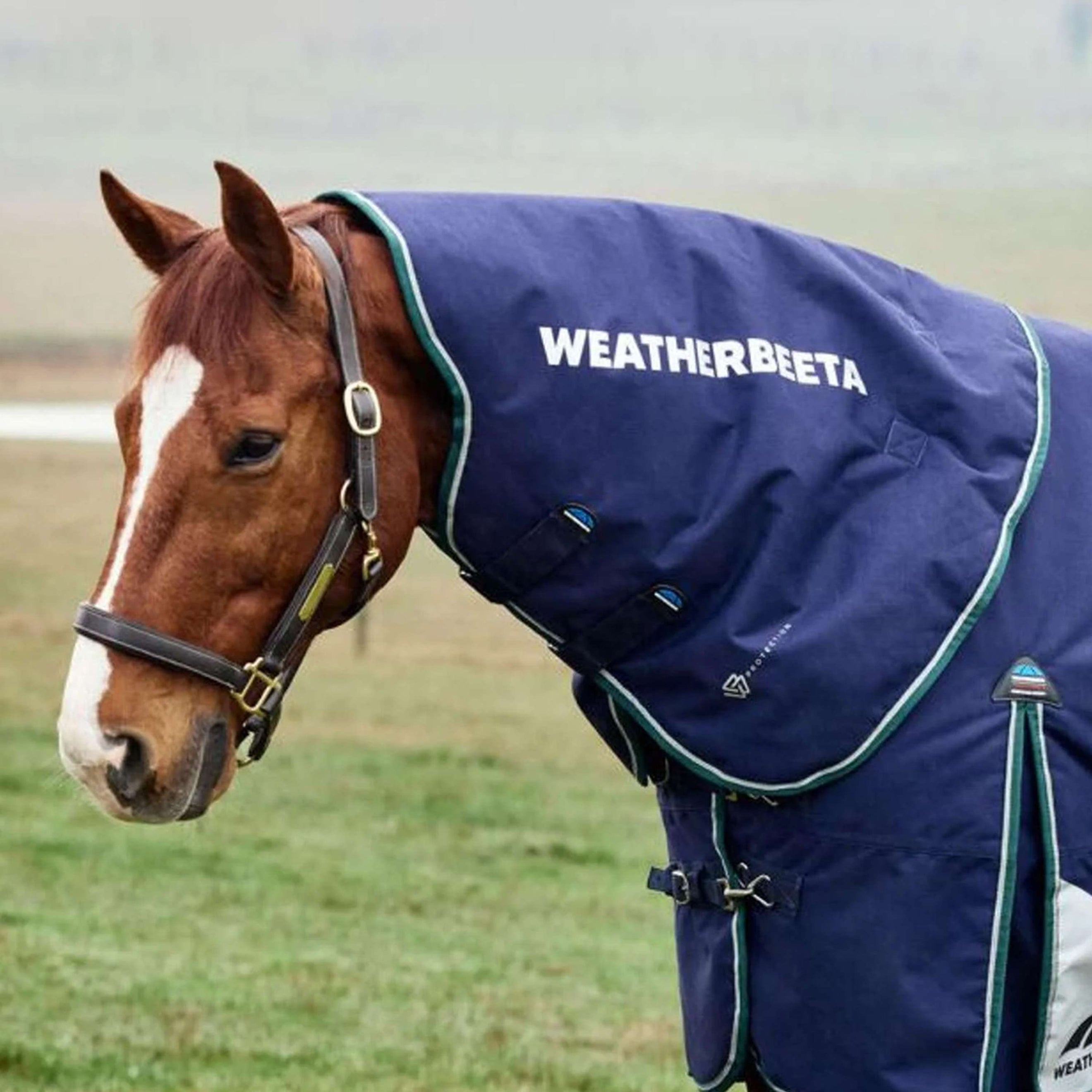 WeatherBeeta Halsstück ComFiTec Plus Dynamic Turnout 220g Navy/Forest Green