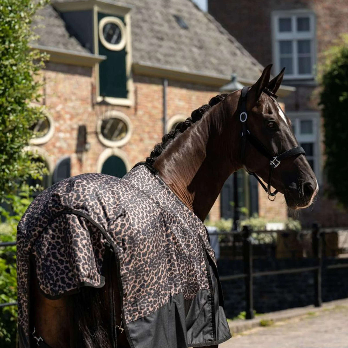 HB Outdoordecke Leopard 0g Leopard