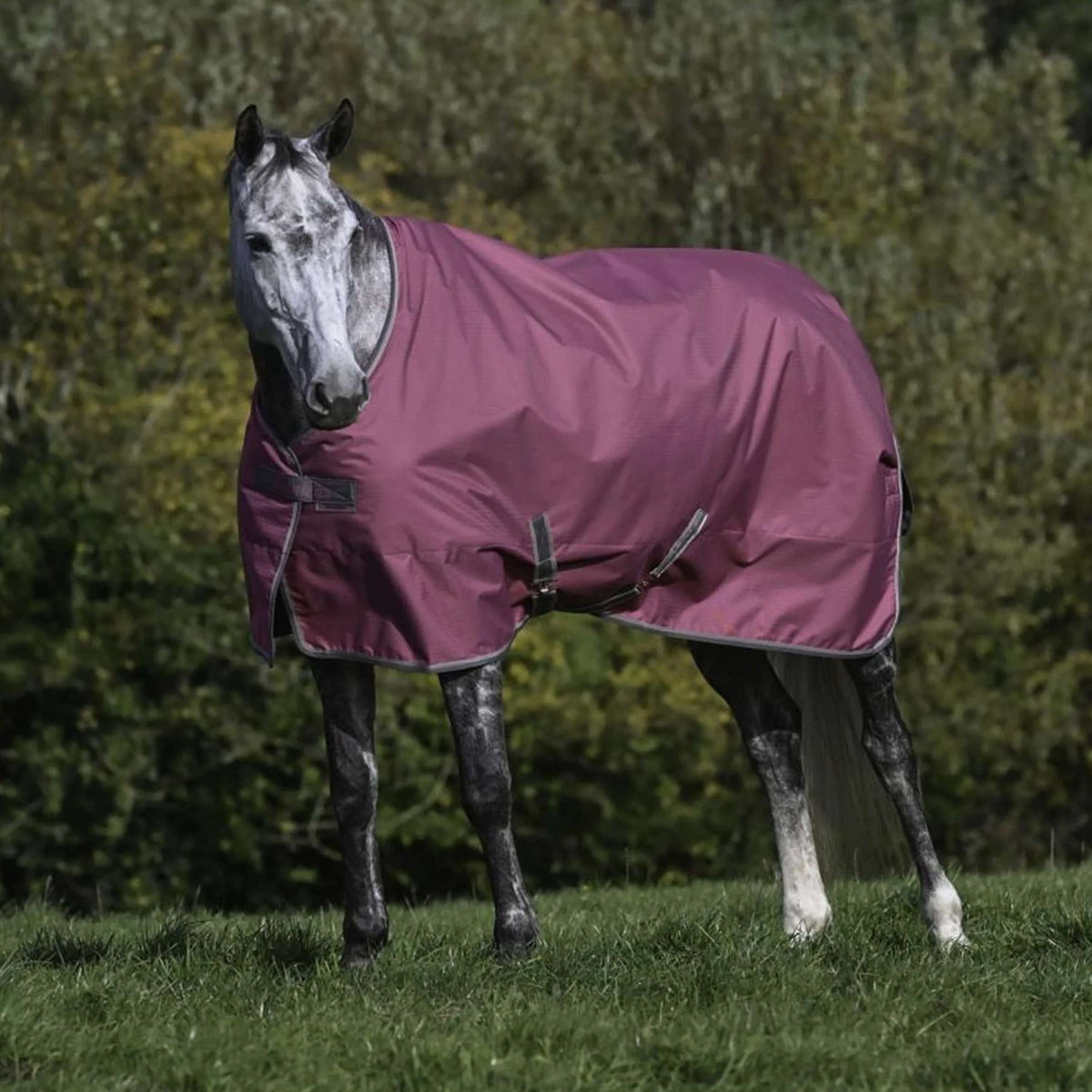 Bucas Freedom Turnout 300g Himbeerrot