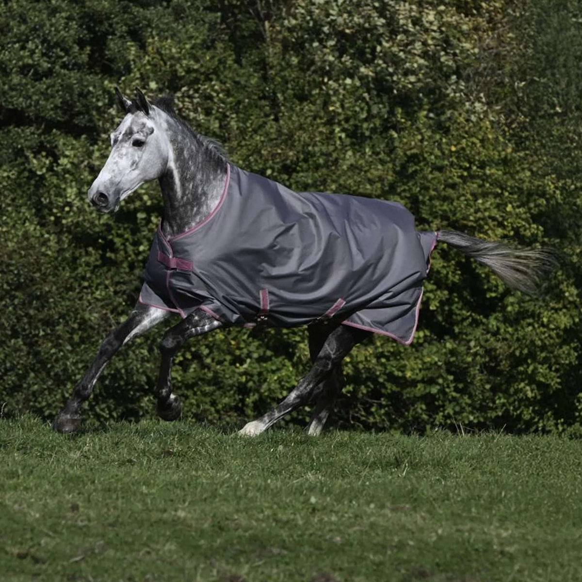 Bucas Freedom Turnout Light 0g Smoke Grey