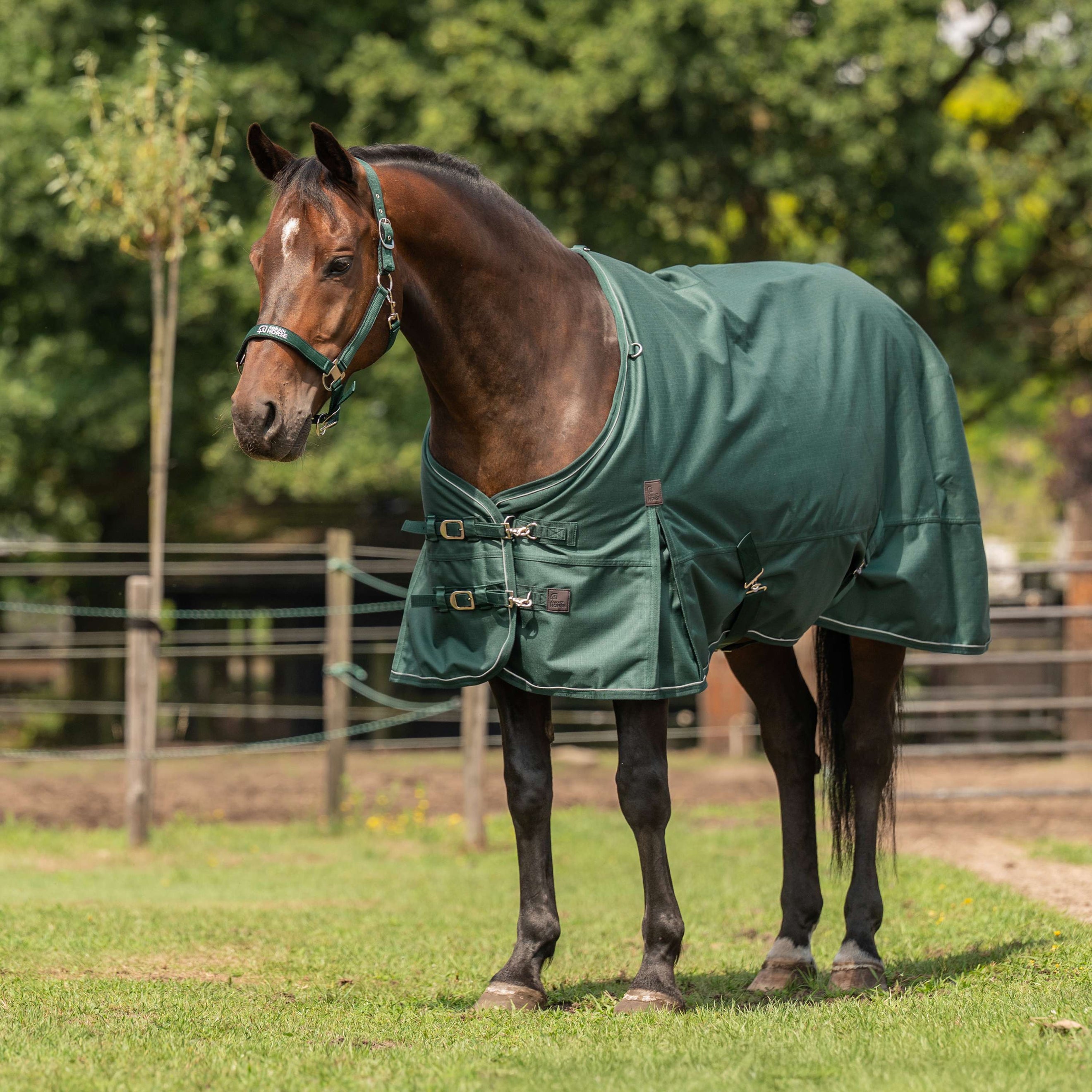 Agradi Horse Outdoordecke 1200D 0gr Reflektierende Paspelierung Grün