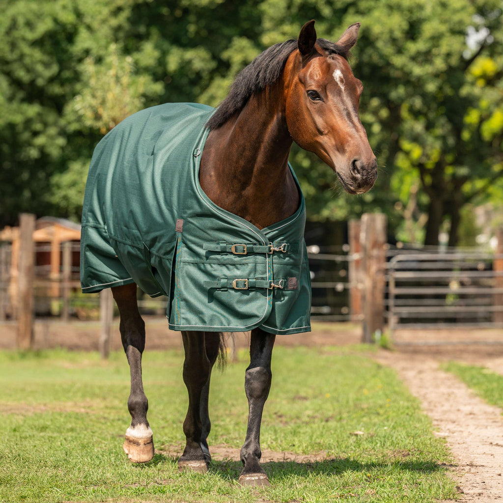 Agradi Horse Outdoordecke 1200D 300gr Reflektierende Paspelierung Grün