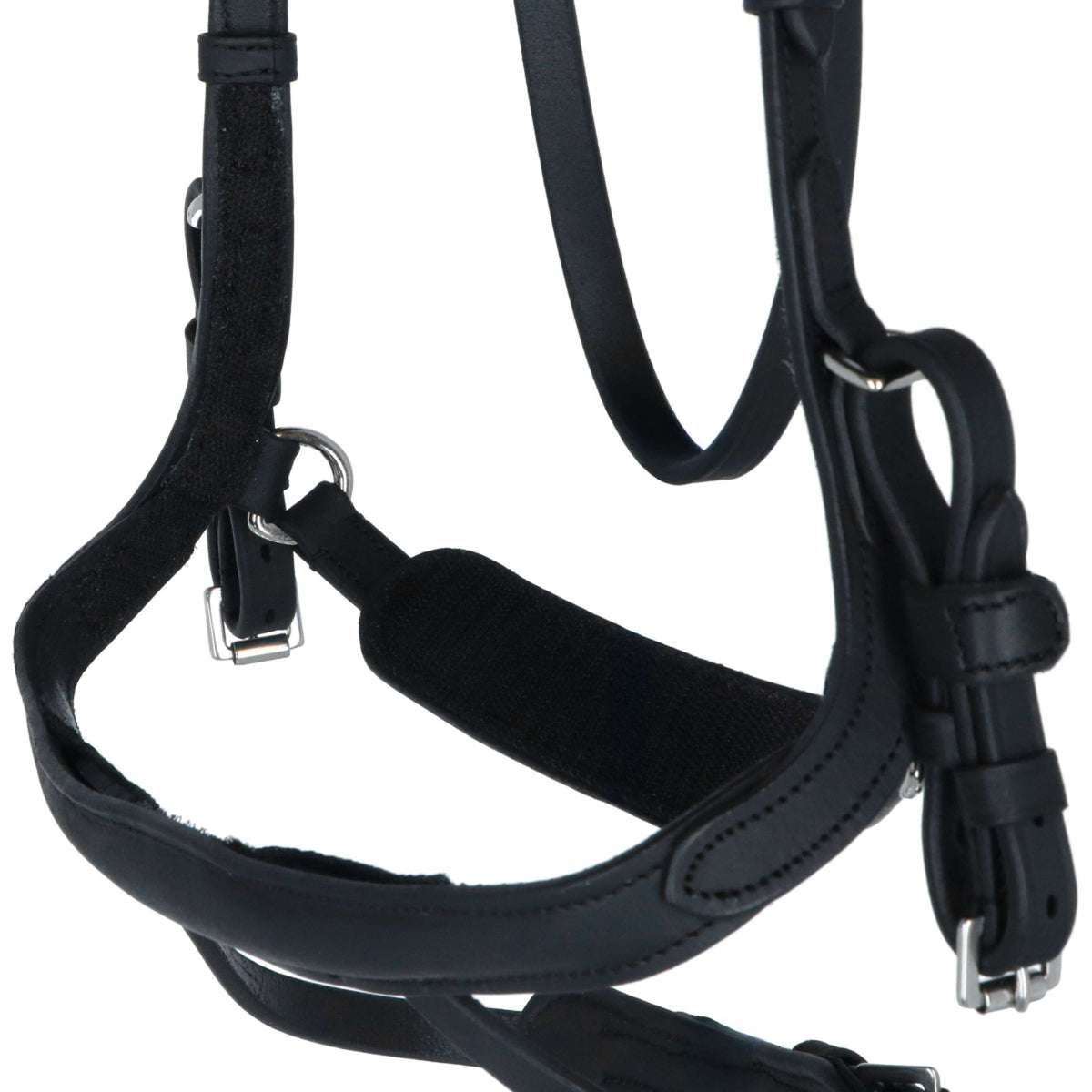 Kavalkade Zaum Caliano Via Schwarz/Silber