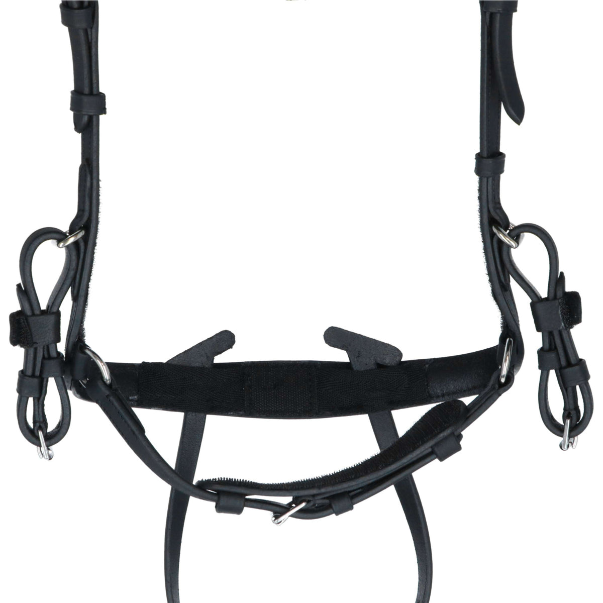 Kavalkade Zaum Caliano Via Schwarz/Silber