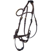 Kavalkade Zaum Caliano Via Braun/Messing