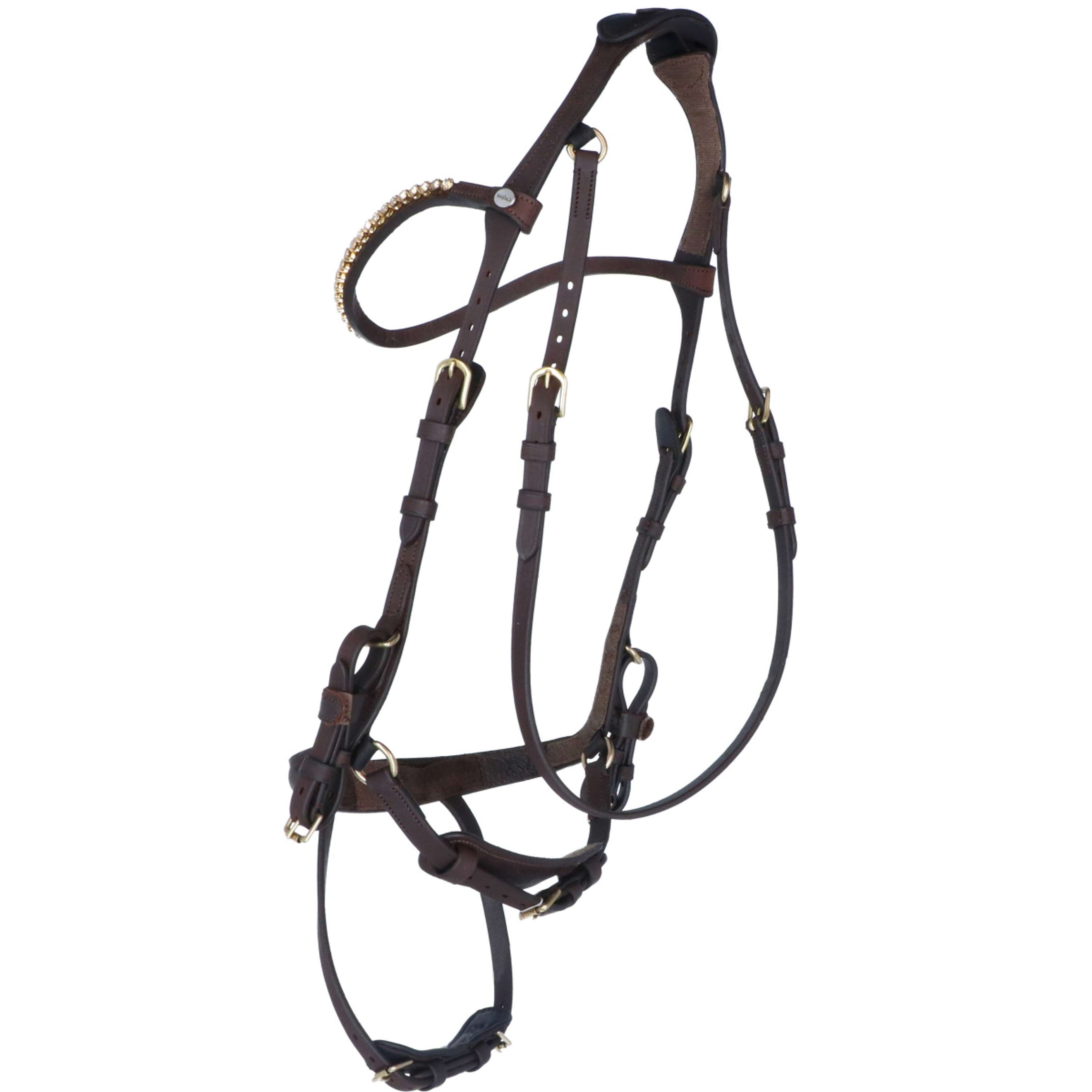 Kavalkade Zaum Caliano Via Braun/Messing