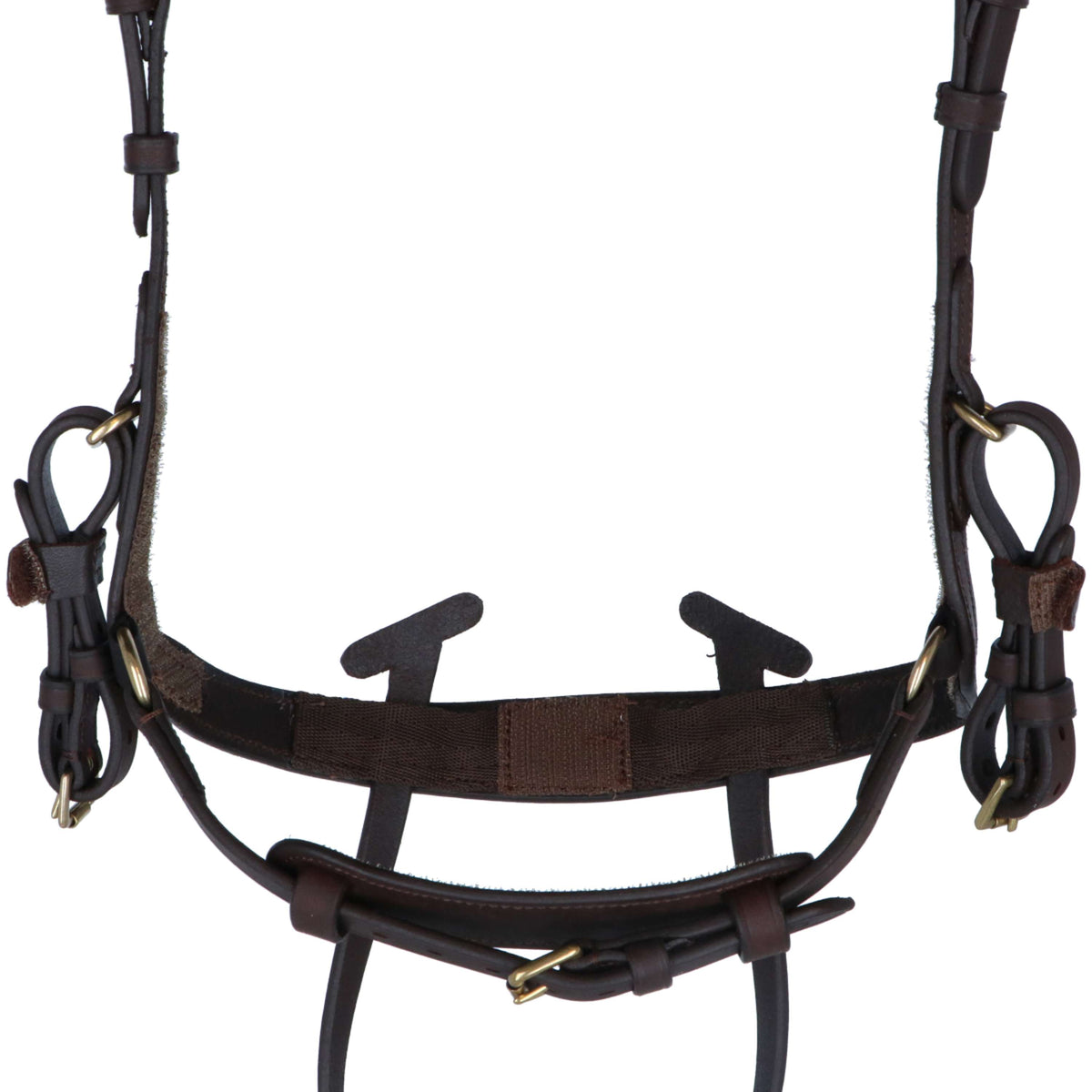 Kavalkade Zaum Caliano Via Braun/Messing