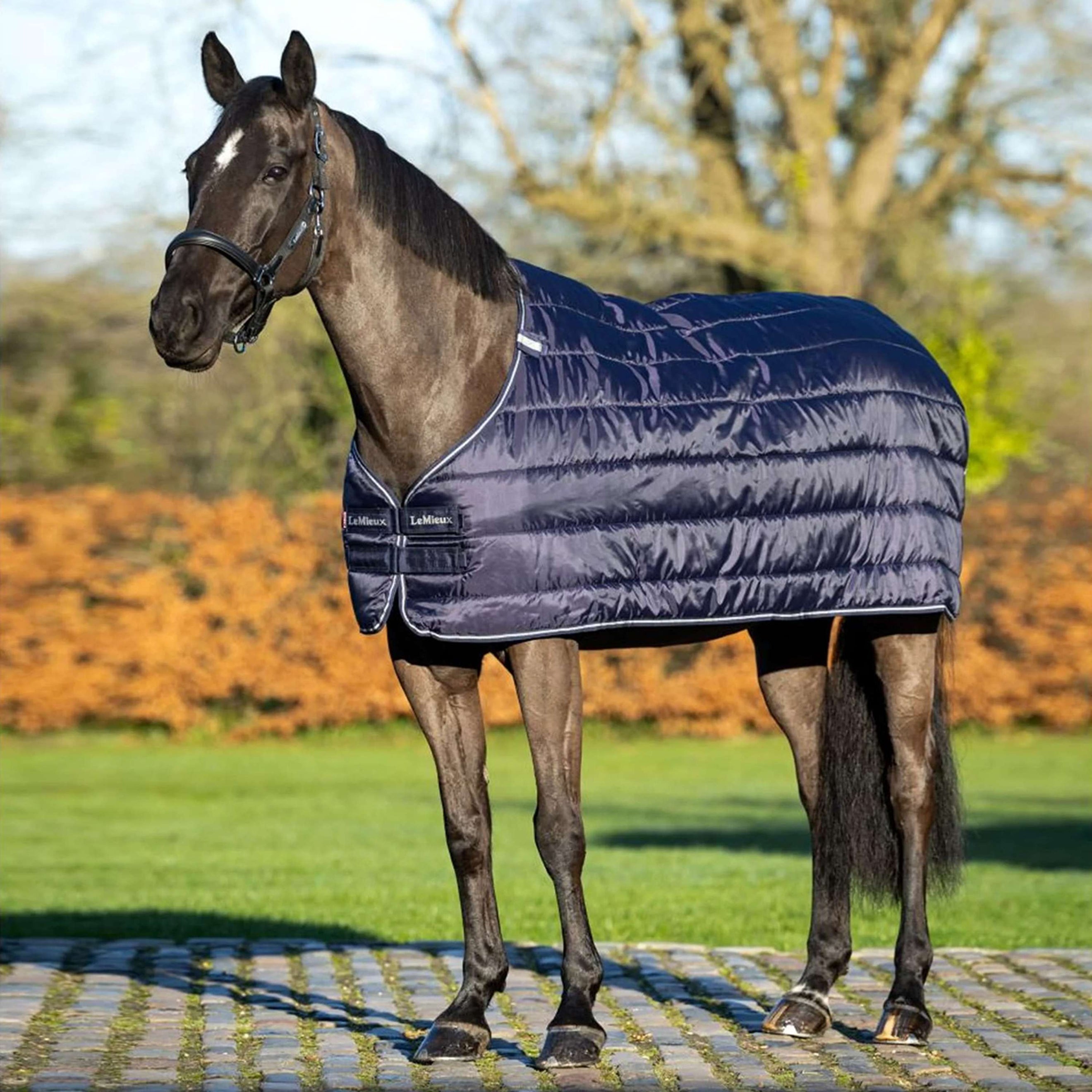 LeMieux Liner 50g Navy