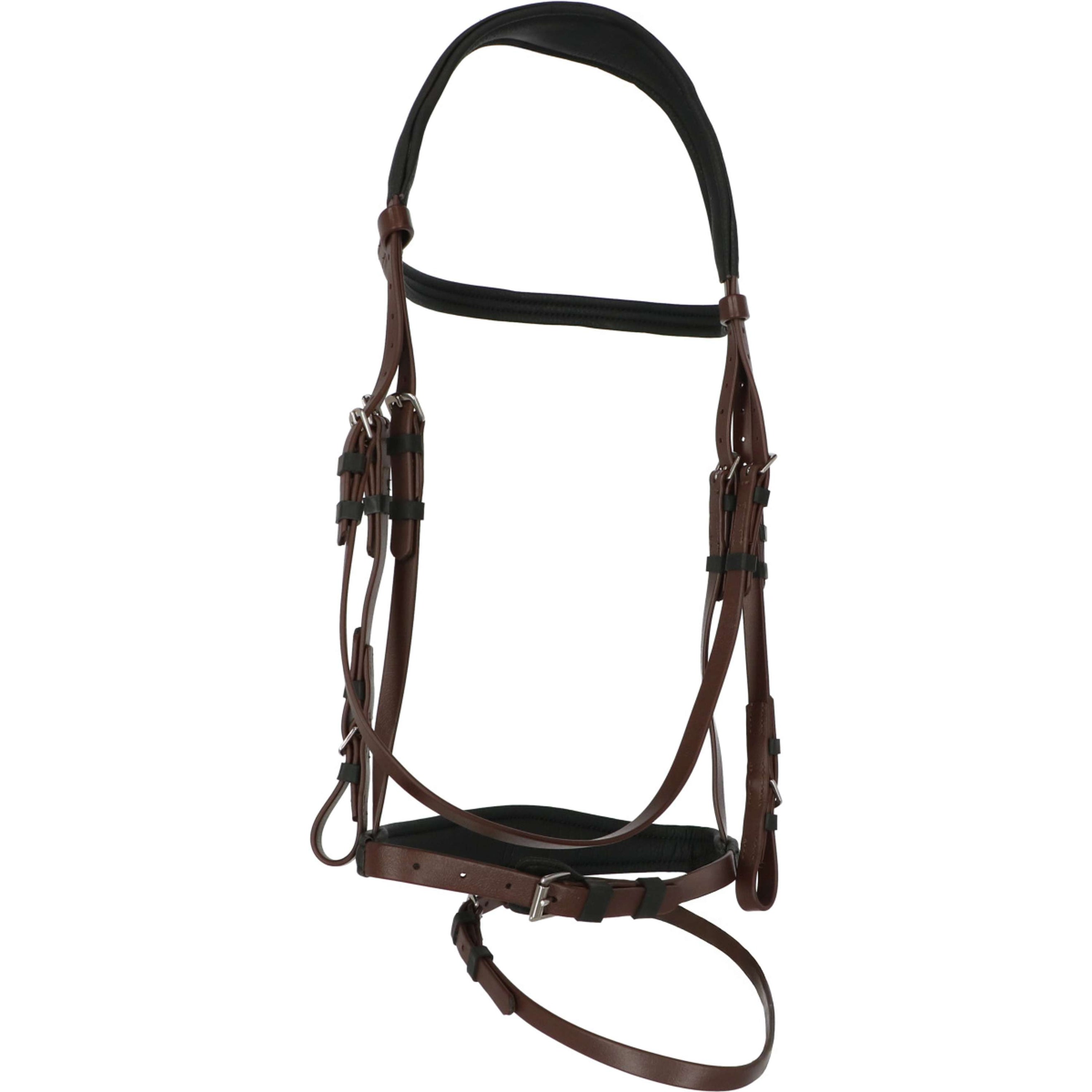 Norton Zaum Endurance Kastanienbraun