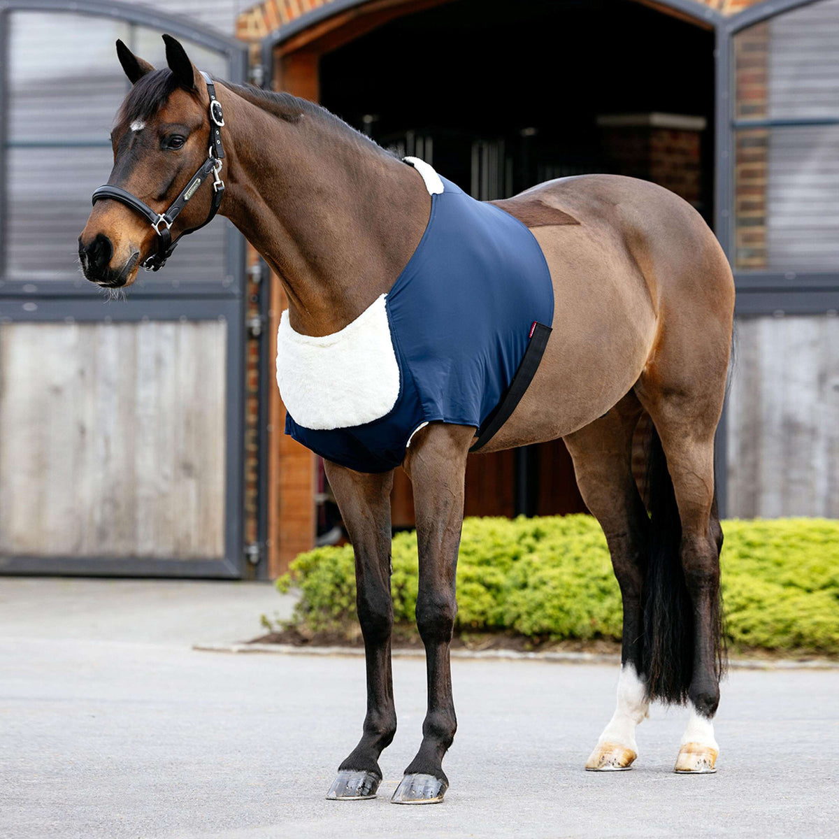 LeMieux Brustschutz Soft Anti-Rubbing Navy