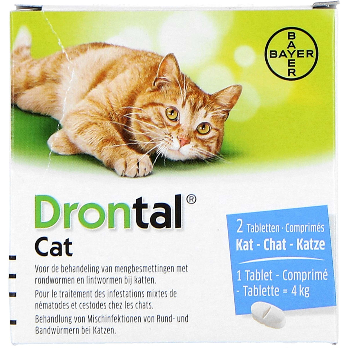 Drontal Drontal Katze