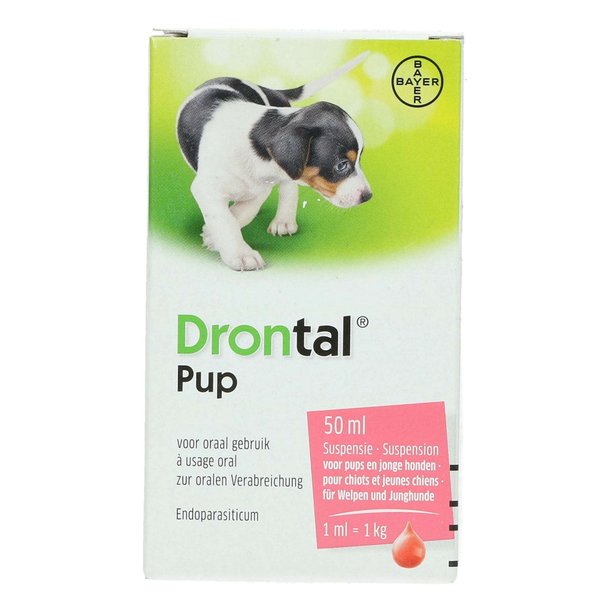 Drontal Drontal Welpe