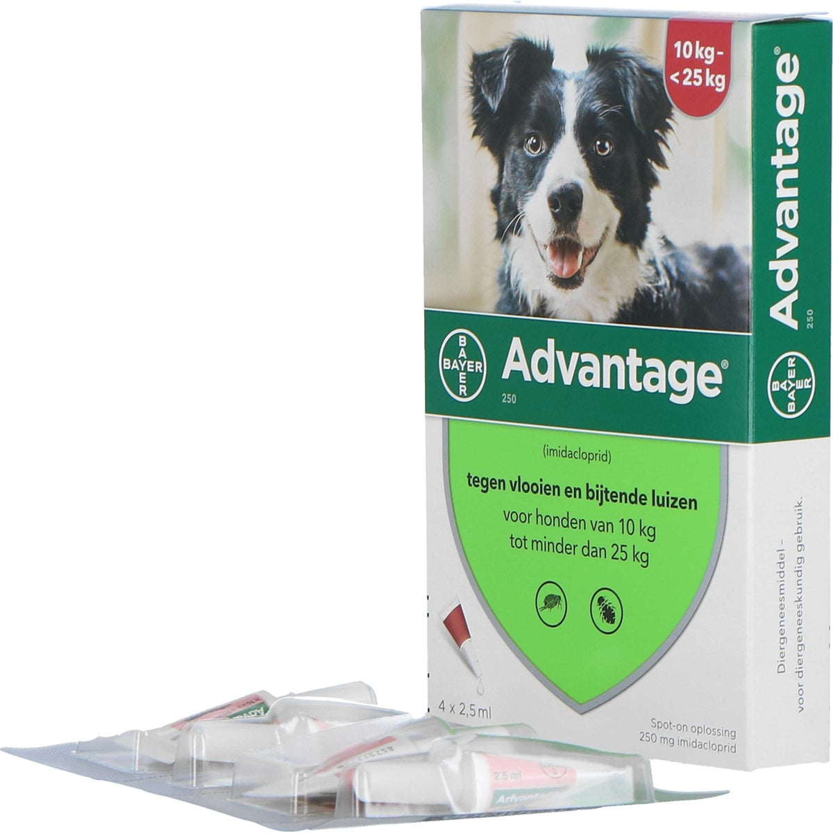 Advantage Advantage 250 Spot-On Hund 10-25kg