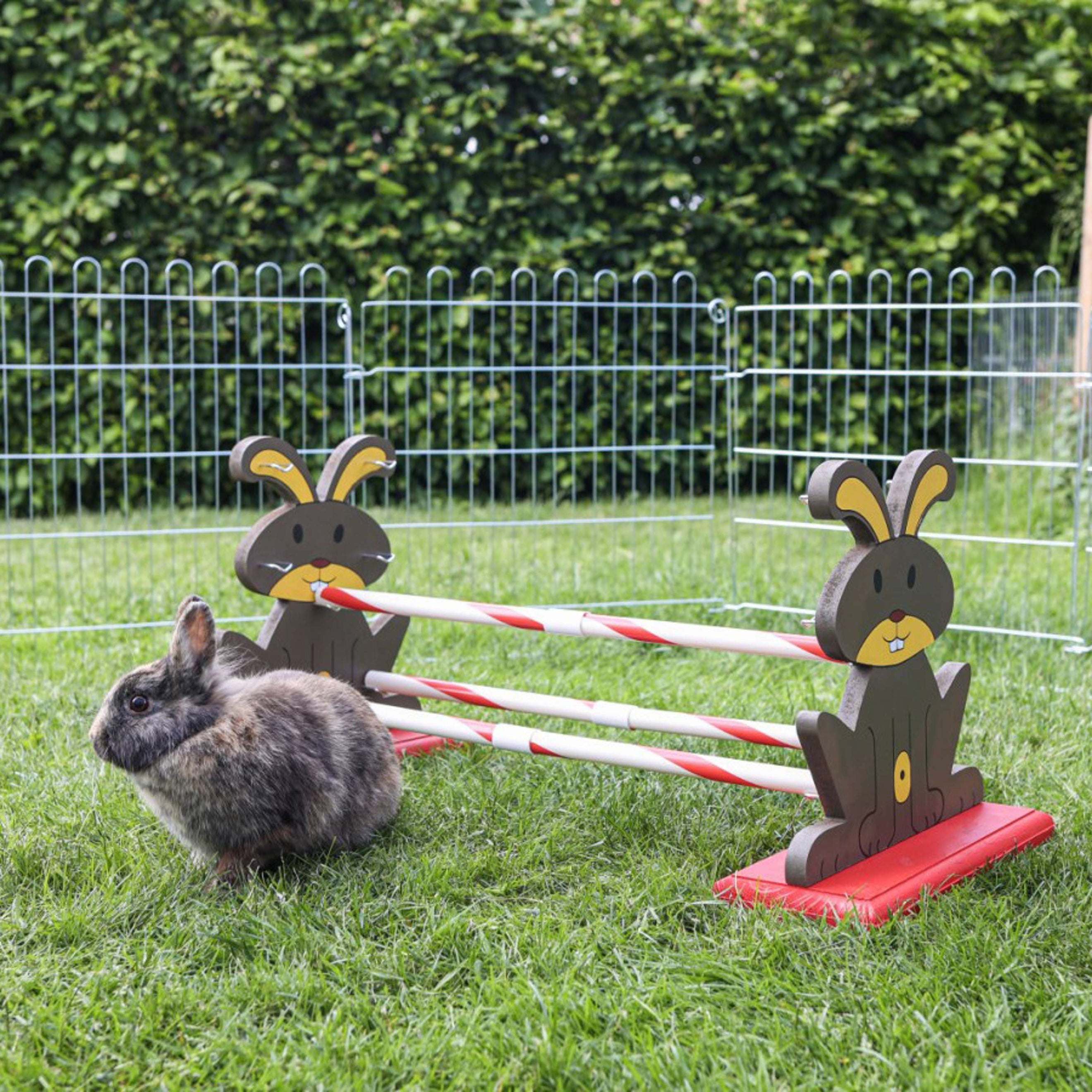 Kerbl Agility Nagerhürde