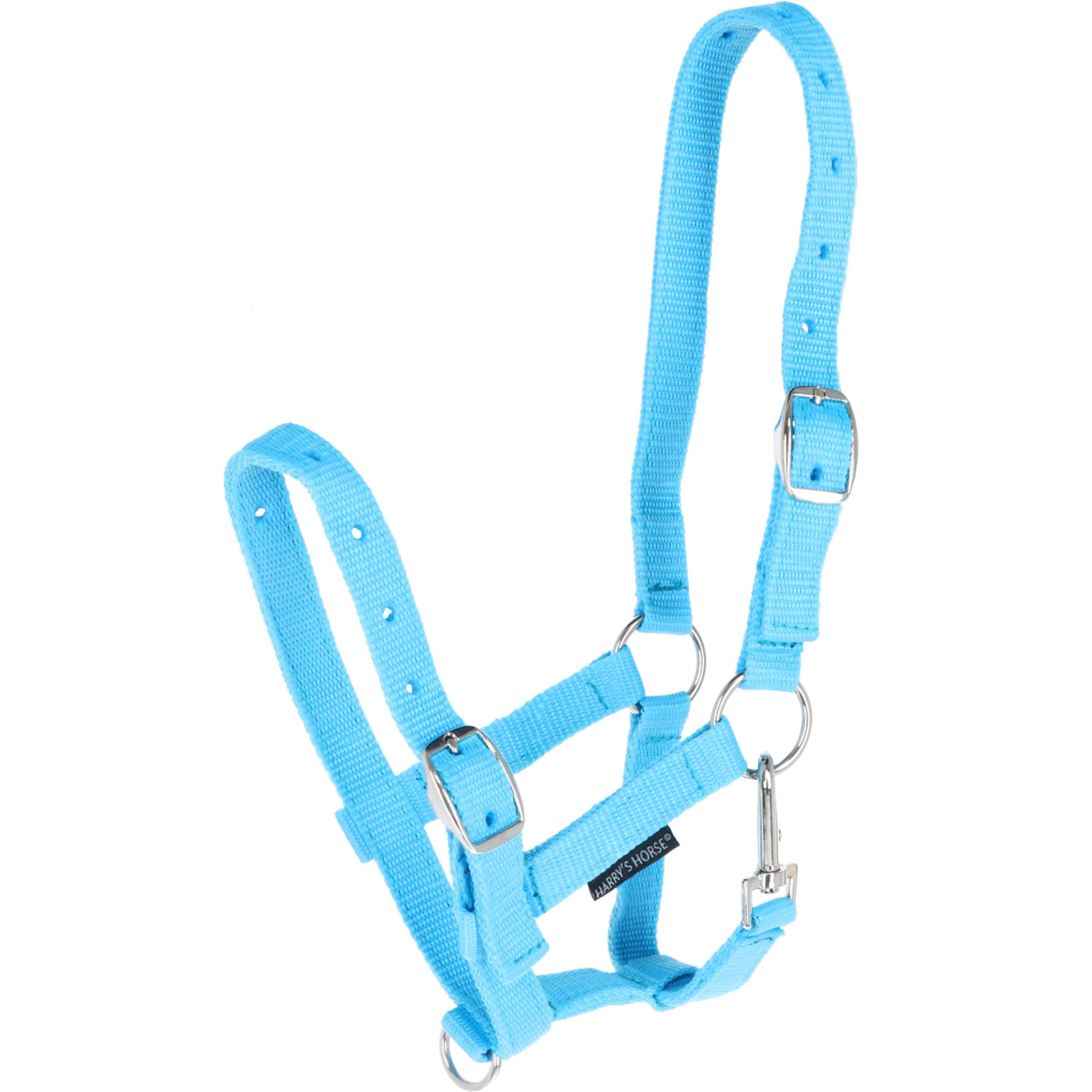Harry's Horse Fohlenhalfter Hellblau Harry's Horse Fohlenhalfter Hellblau