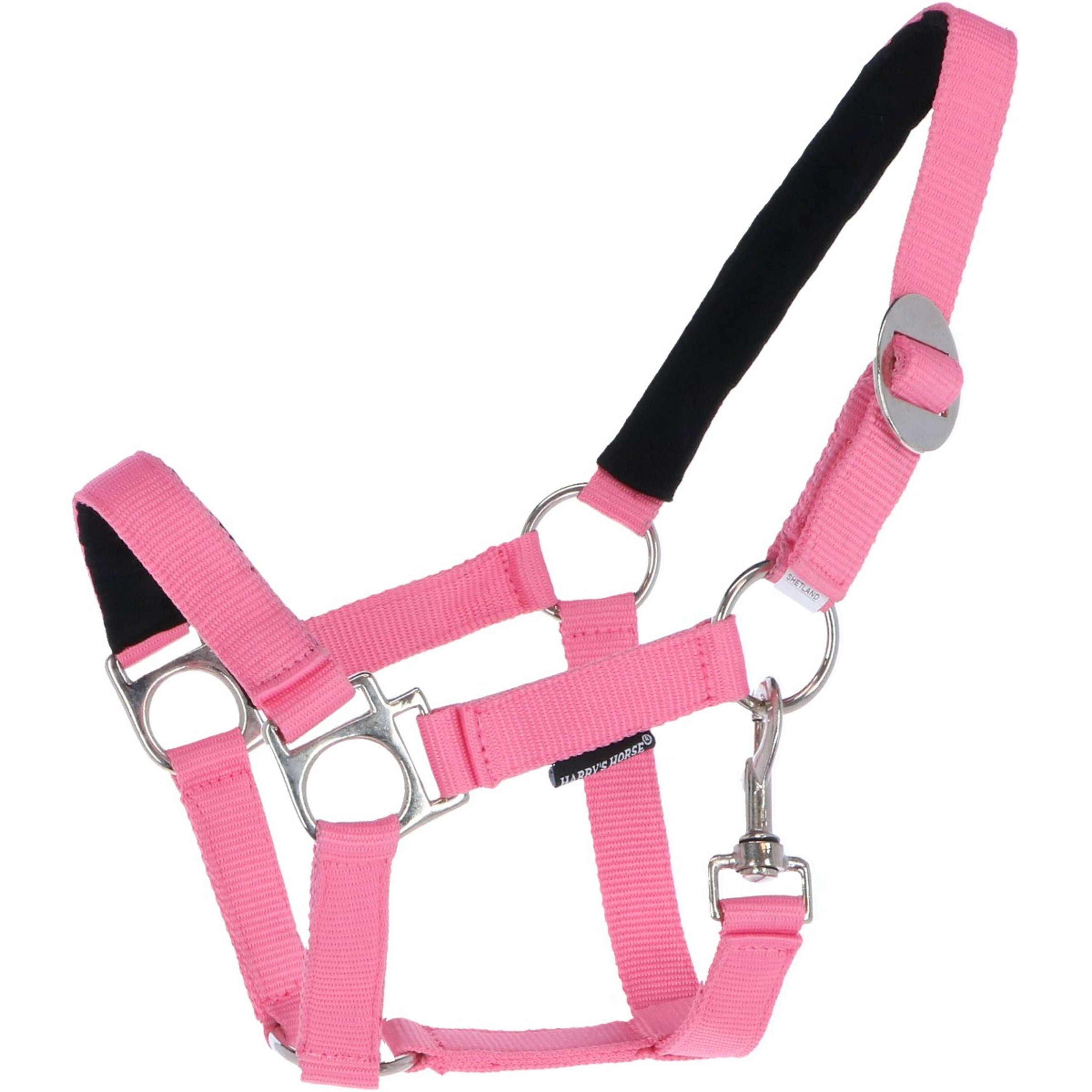 Harry's Horse Halfter Padded Rosa Harry's Horse Halfter Padded Rosa