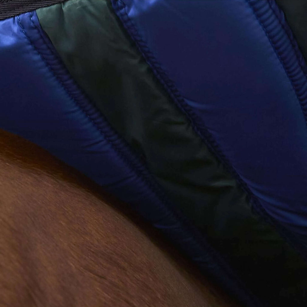 WeatherBeeta ComFiTec Plus Dynamic Turnout 220g Forest Green/Navy