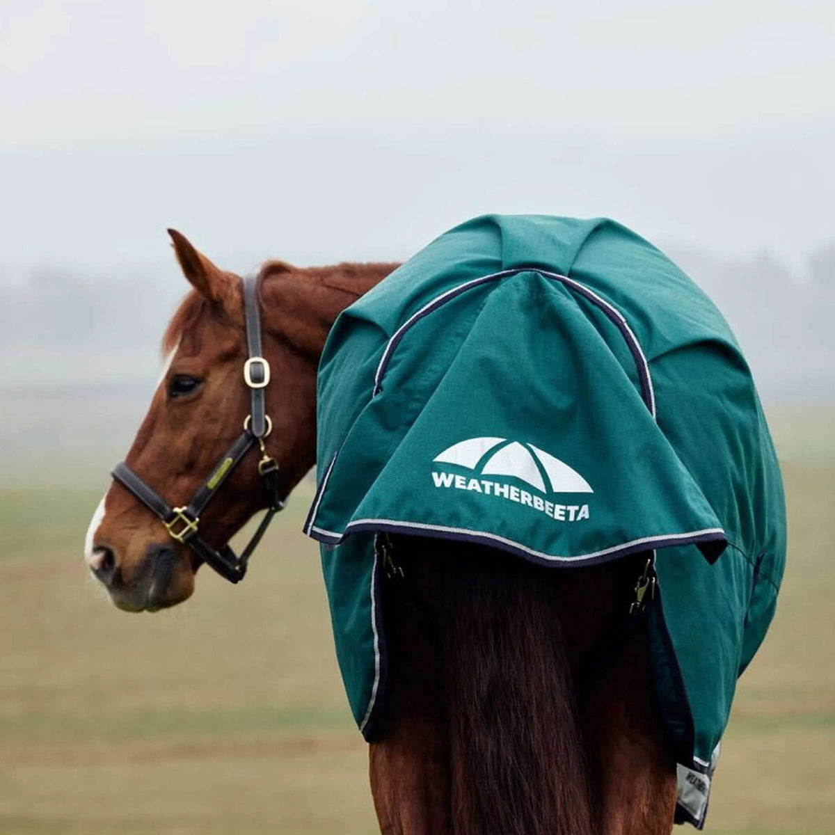 WeatherBeeta ComFiTec Plus Dynamic Turnout 220g Forest Green/Navy