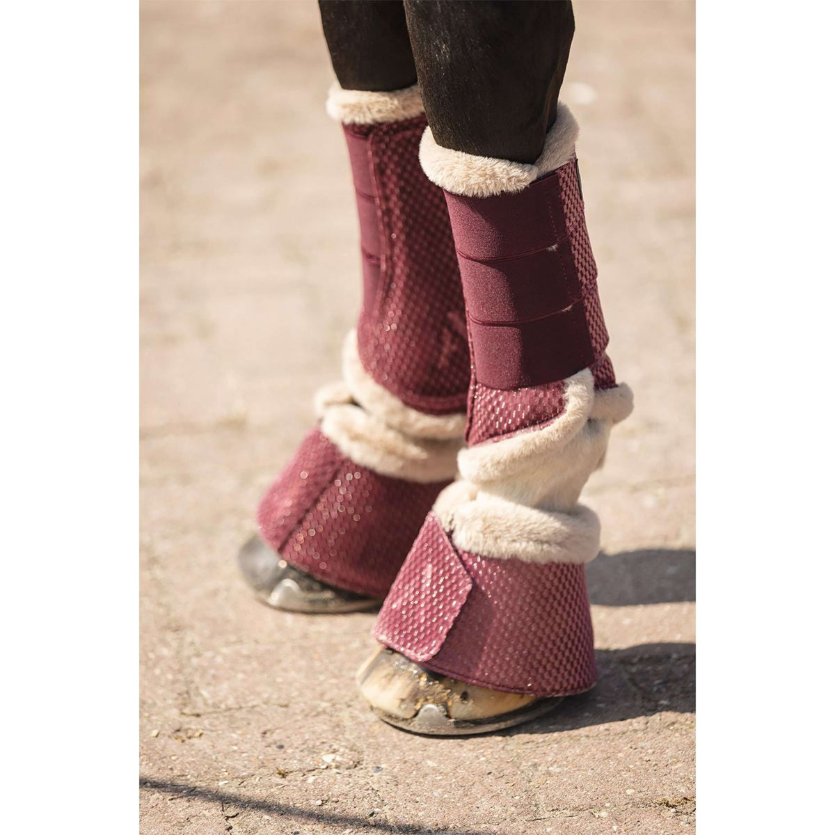 ANKY Dressage Boots Check Velvet ATB25005 Mellow Mauve