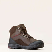 Ariat Outdoorschuhe Skyline Mid Waterproof Herren Schokoladen Braun