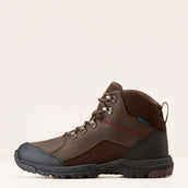 Ariat Outdoorschuhe Skyline Mid Waterproof Herren Schokoladen Braun