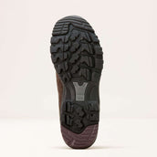 Ariat Outdoorschuhe Skyline Mid Waterproof Herren Schokoladen Braun