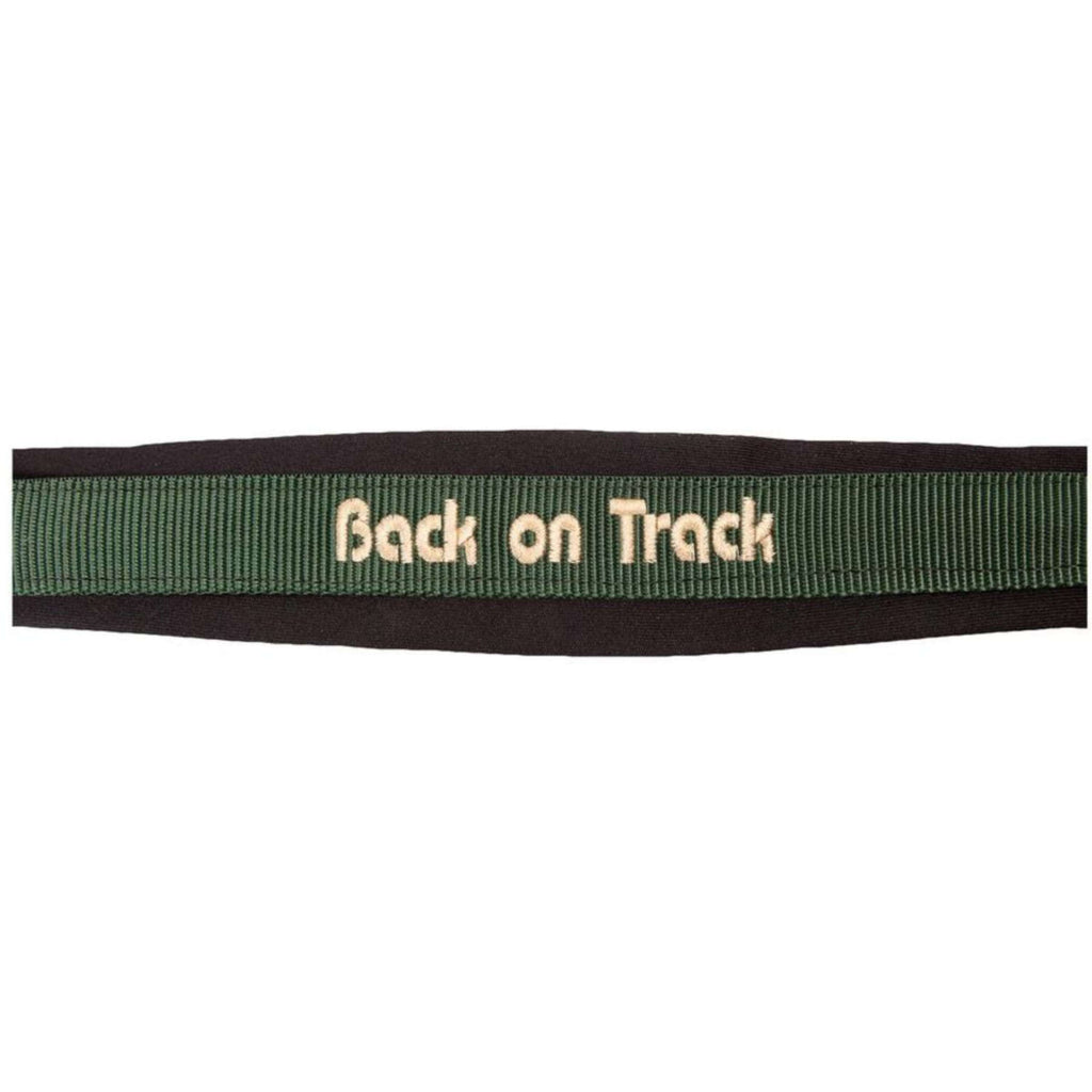 Back on Track Halfter Werano Grün