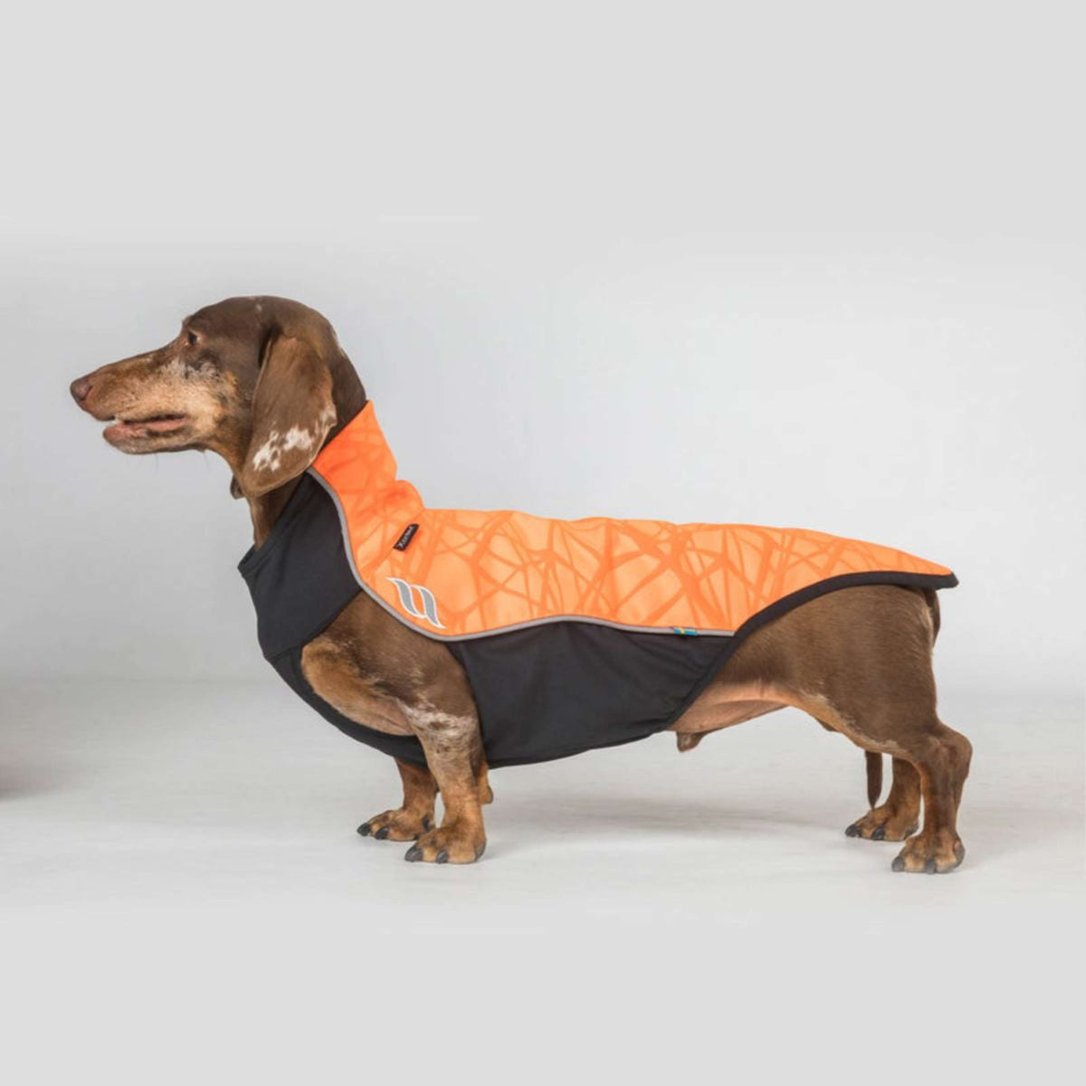 Back on Track Hundejacke Eddie High Visibility Petite Orange