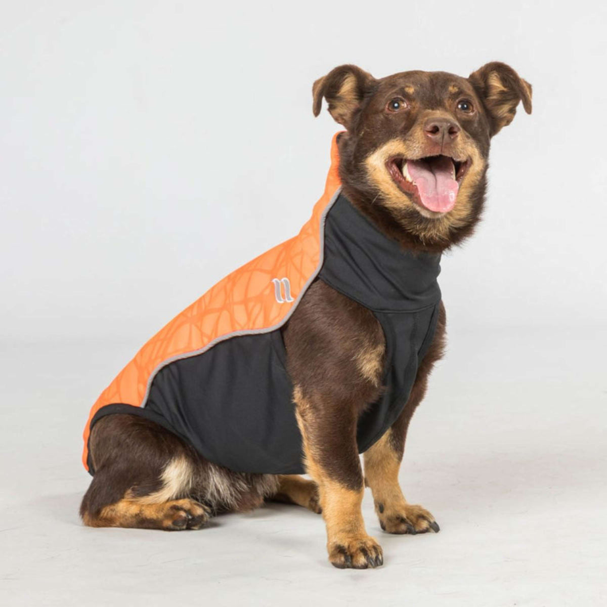 Back on Track Hundejacke Eddie High Visibility Petite Orange