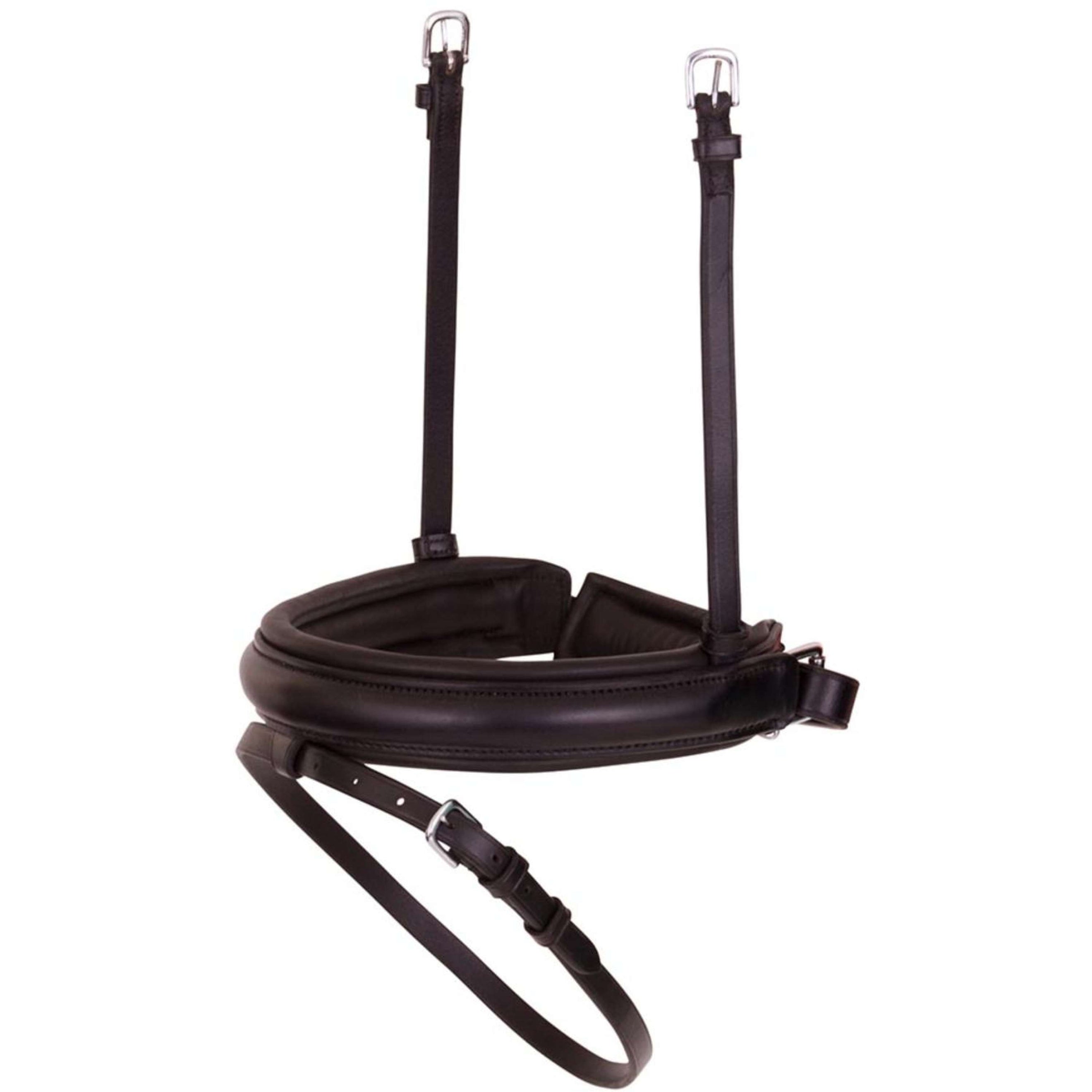 BR schwedisch kombiniertes Reithalfter Schwarz/Silber BR schwedisch kombiniertes Reithalfter Schwarz/Silber