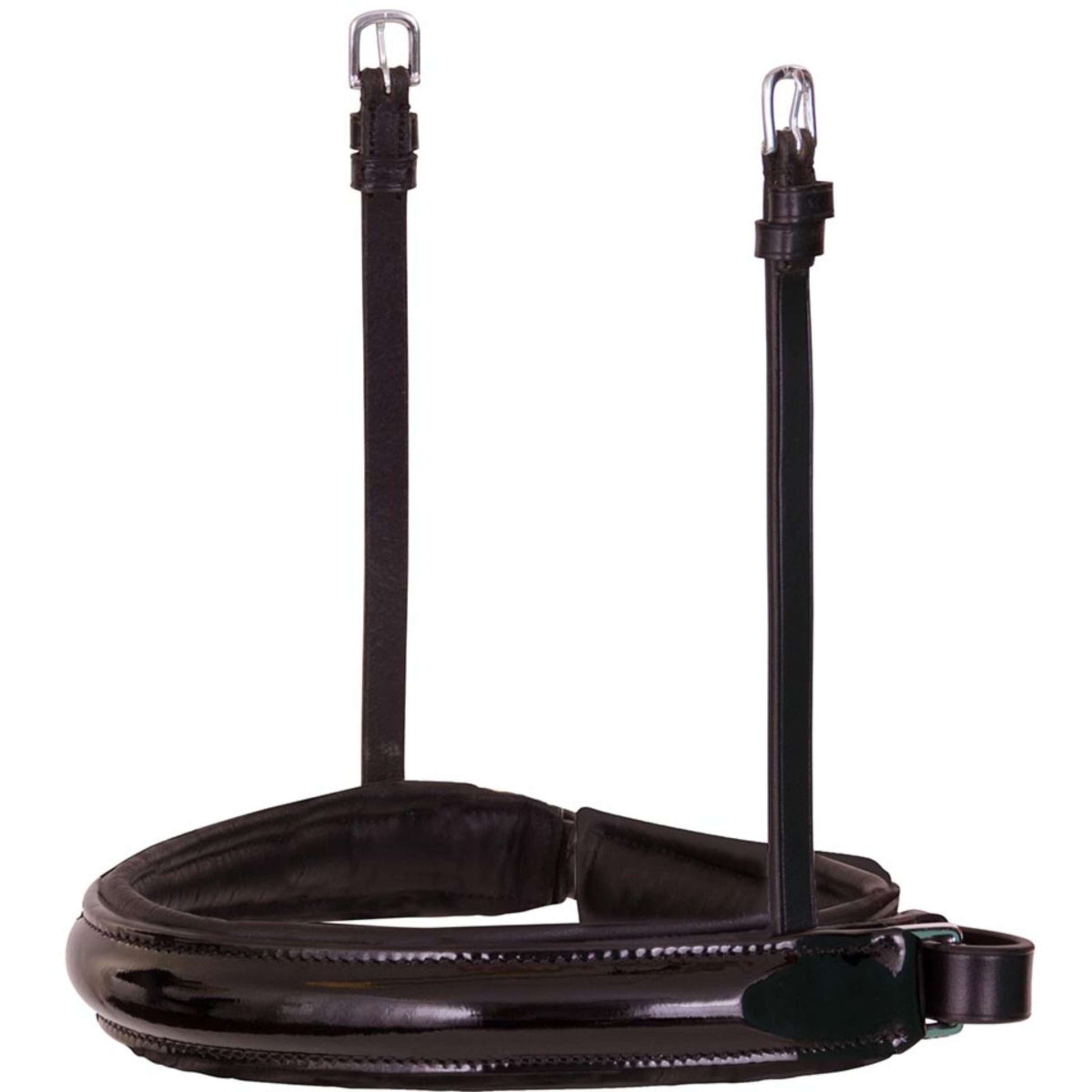 BR Schwedisches Reithalfter Lacquer Schwarz/Silber