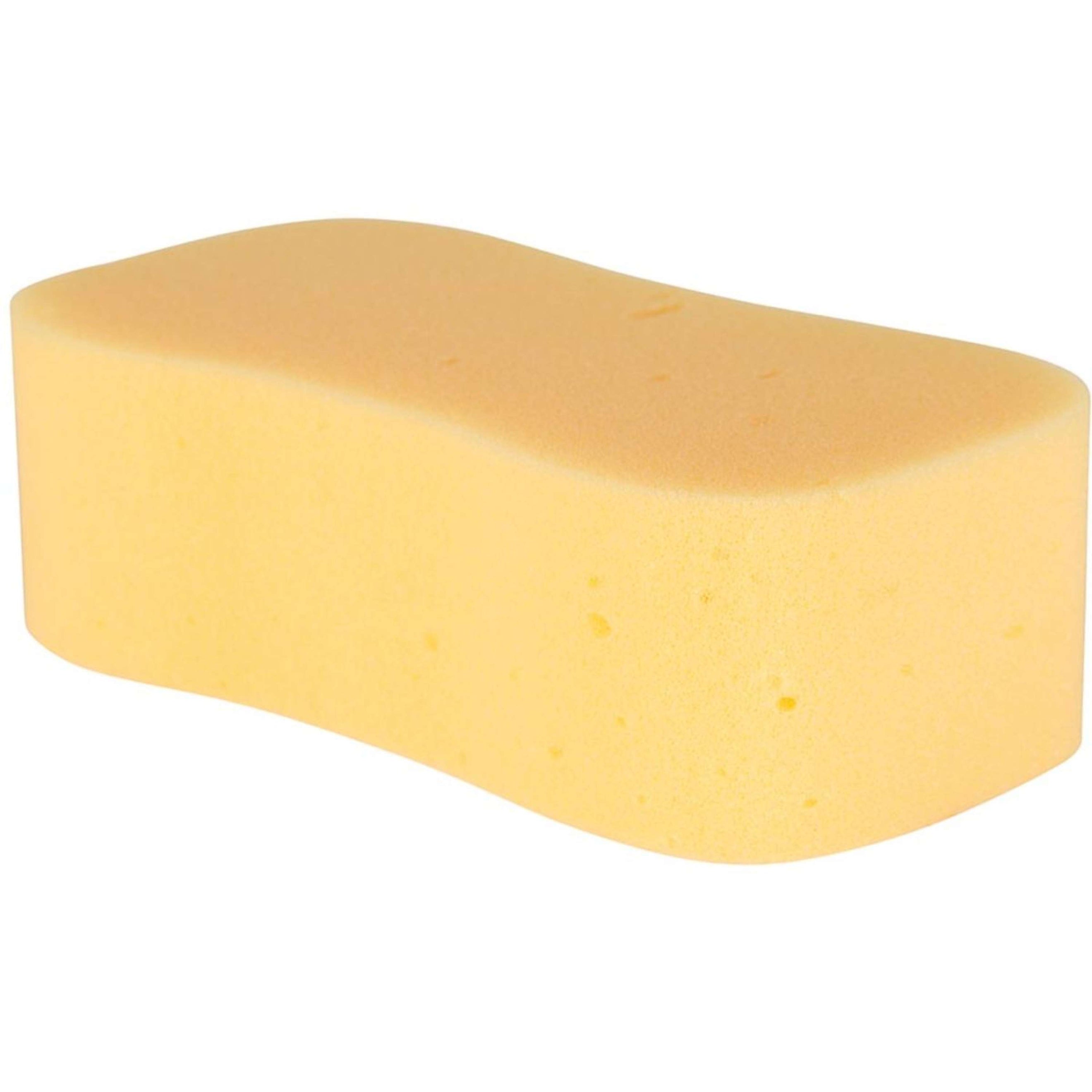 Carr & Day & Martin Horse Care Sponge Carr & Day & Martin Horse Care Sponge