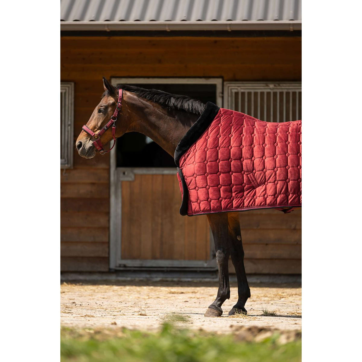 BR Showdecke CLX Cabernet