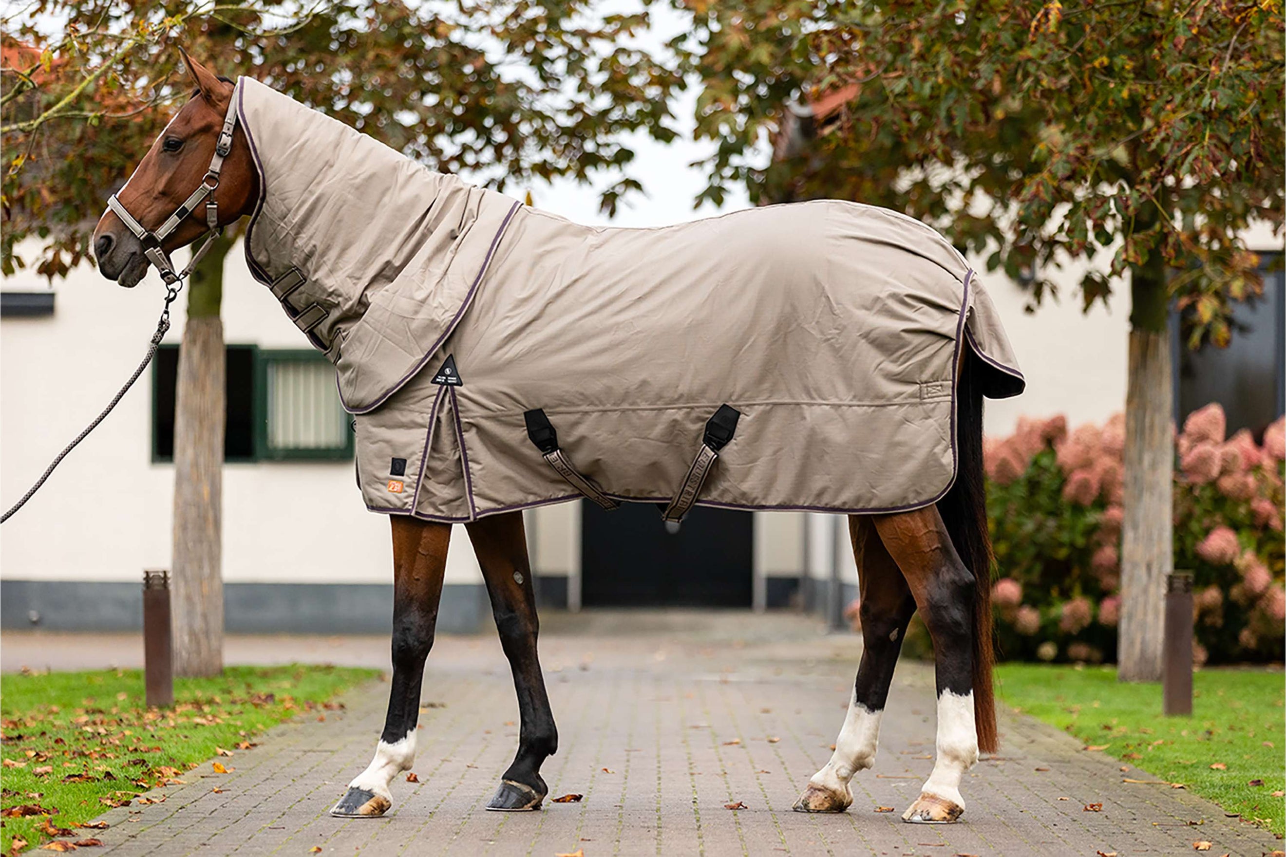 BR Winter 25/26 Moon Rock