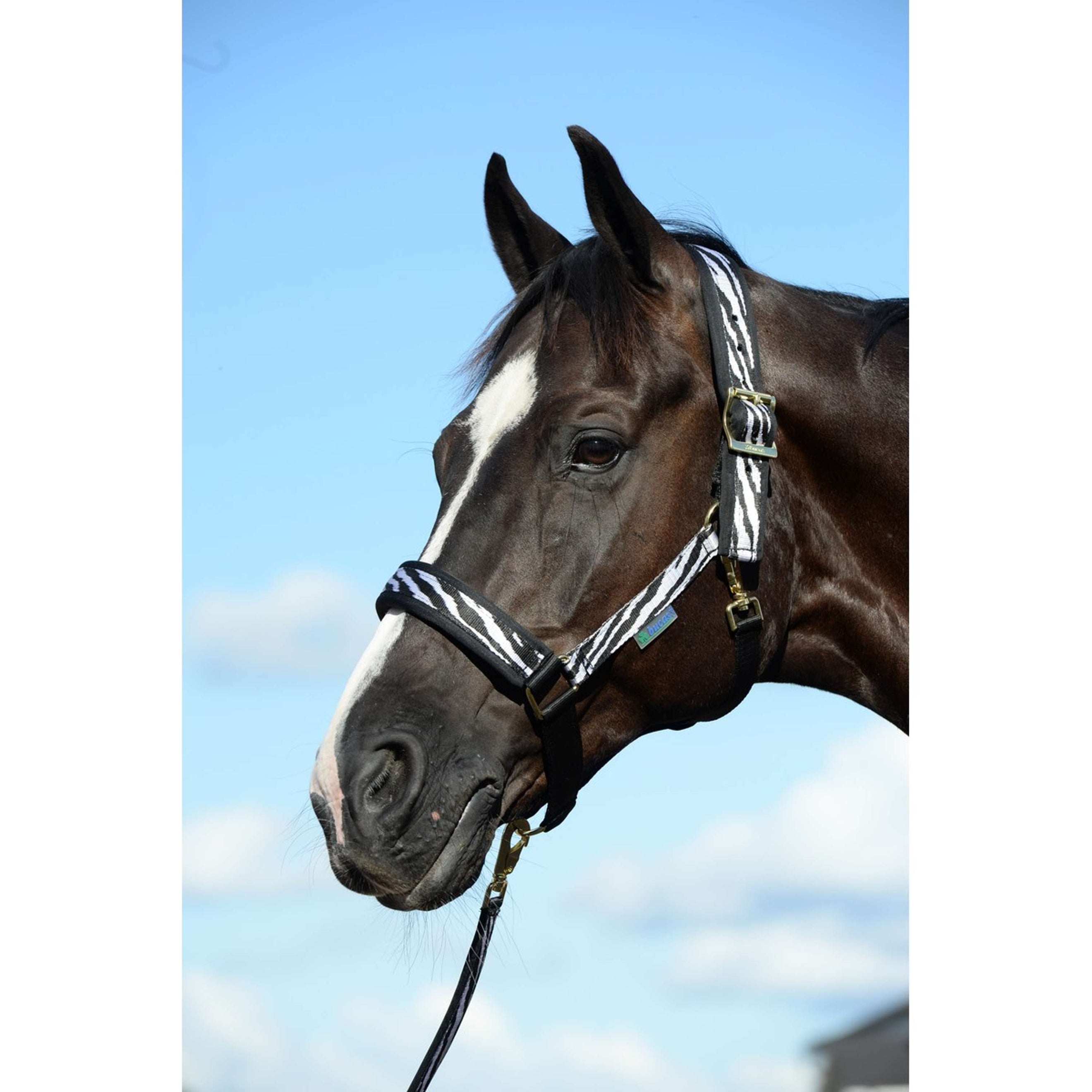 Bucas Halfter Comfort Zebra Bucas Halfter Comfort Zebra