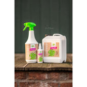 Bense & Eicke Glanzspray StarFinish