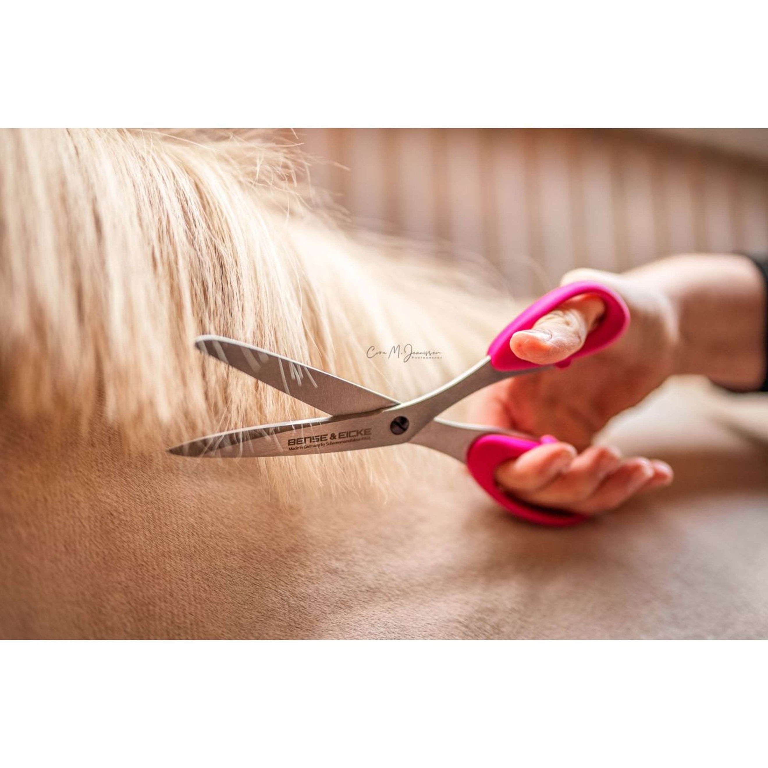 Bense & Eicke Schere SchnittBerta Bense & Eicke Schere SchnittBerta