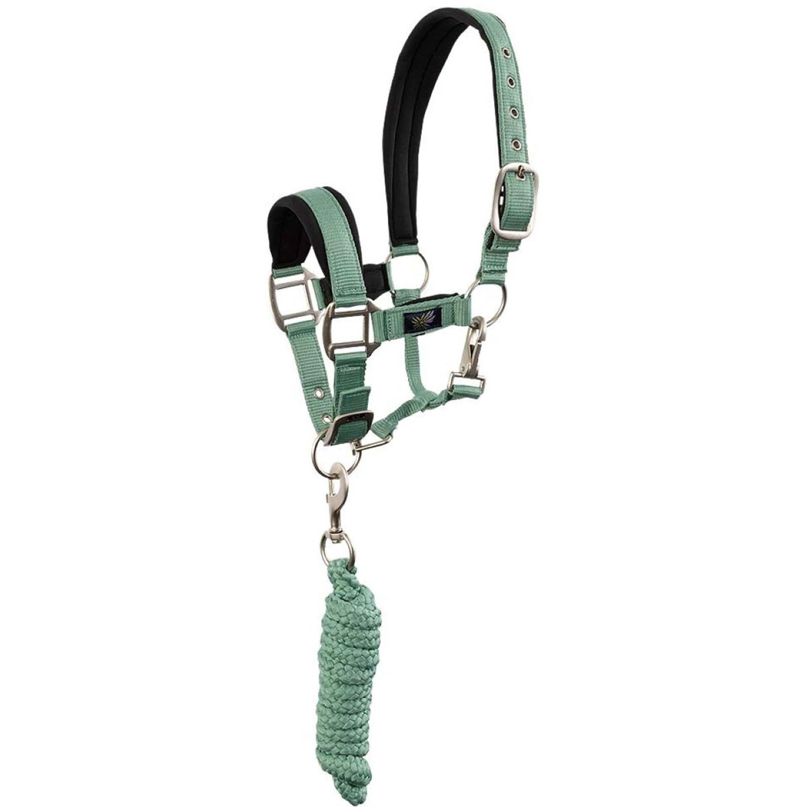 BR Halfterset Mini Horse Feldspar BR Halfterset Mini Horse Feldspar