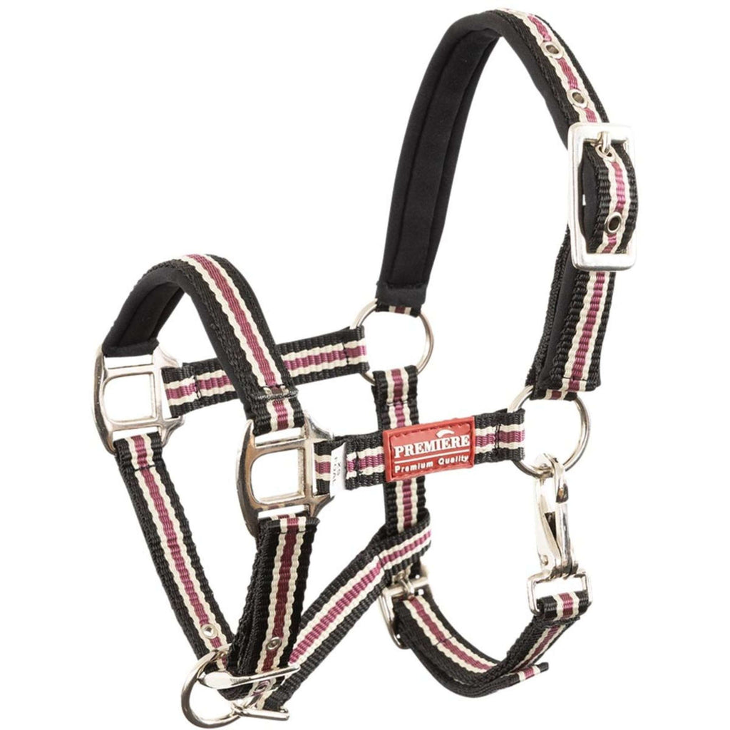 Premiere Fohlenhalfter Vivid Neopren Schwarz/Beige/Rot