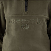 BR Pullover Eevolv Filou Beetle