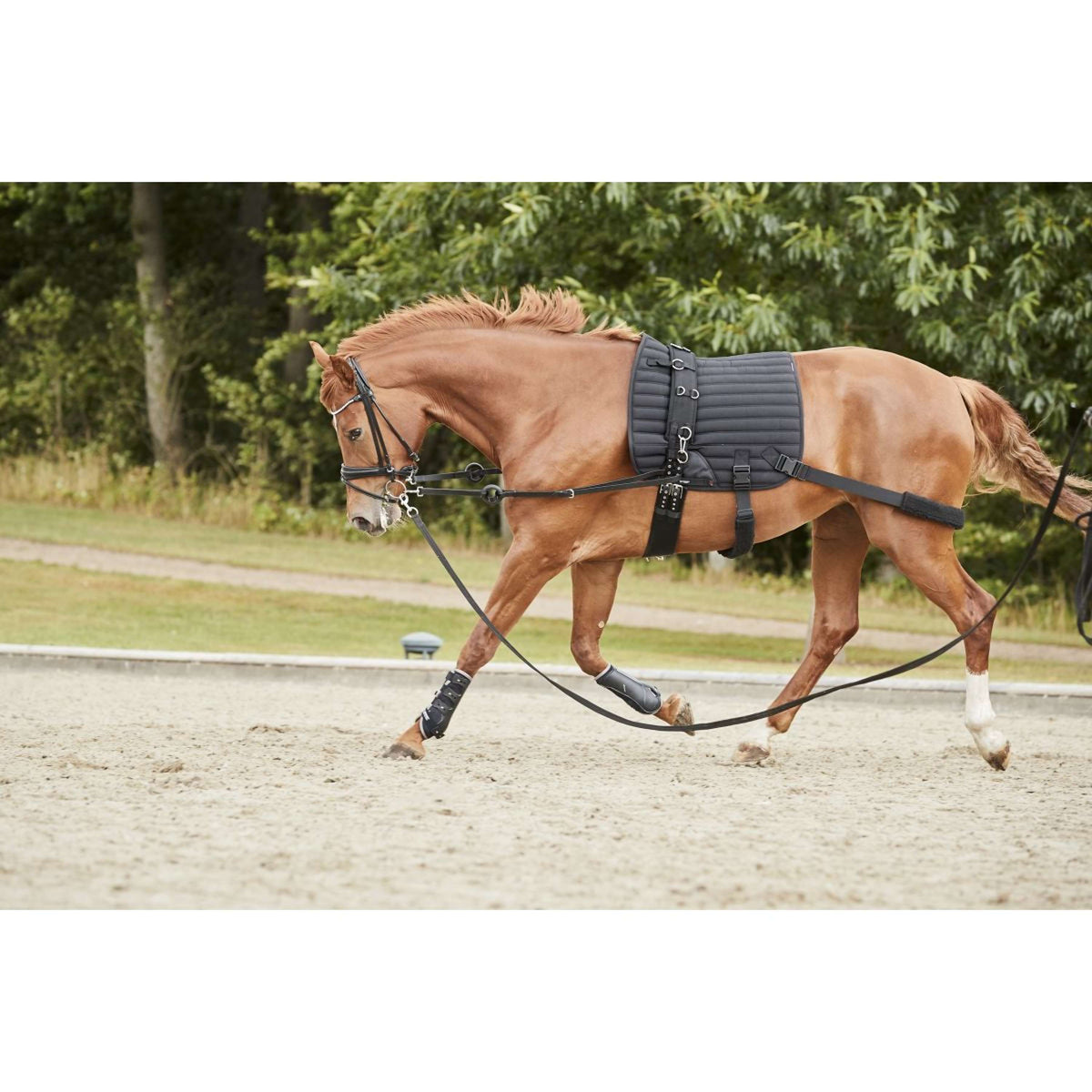 Catago Schabracke Hybrid Training Dressur Schwarz