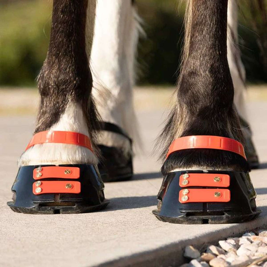Scoot Boot Front Strap Hibiscus