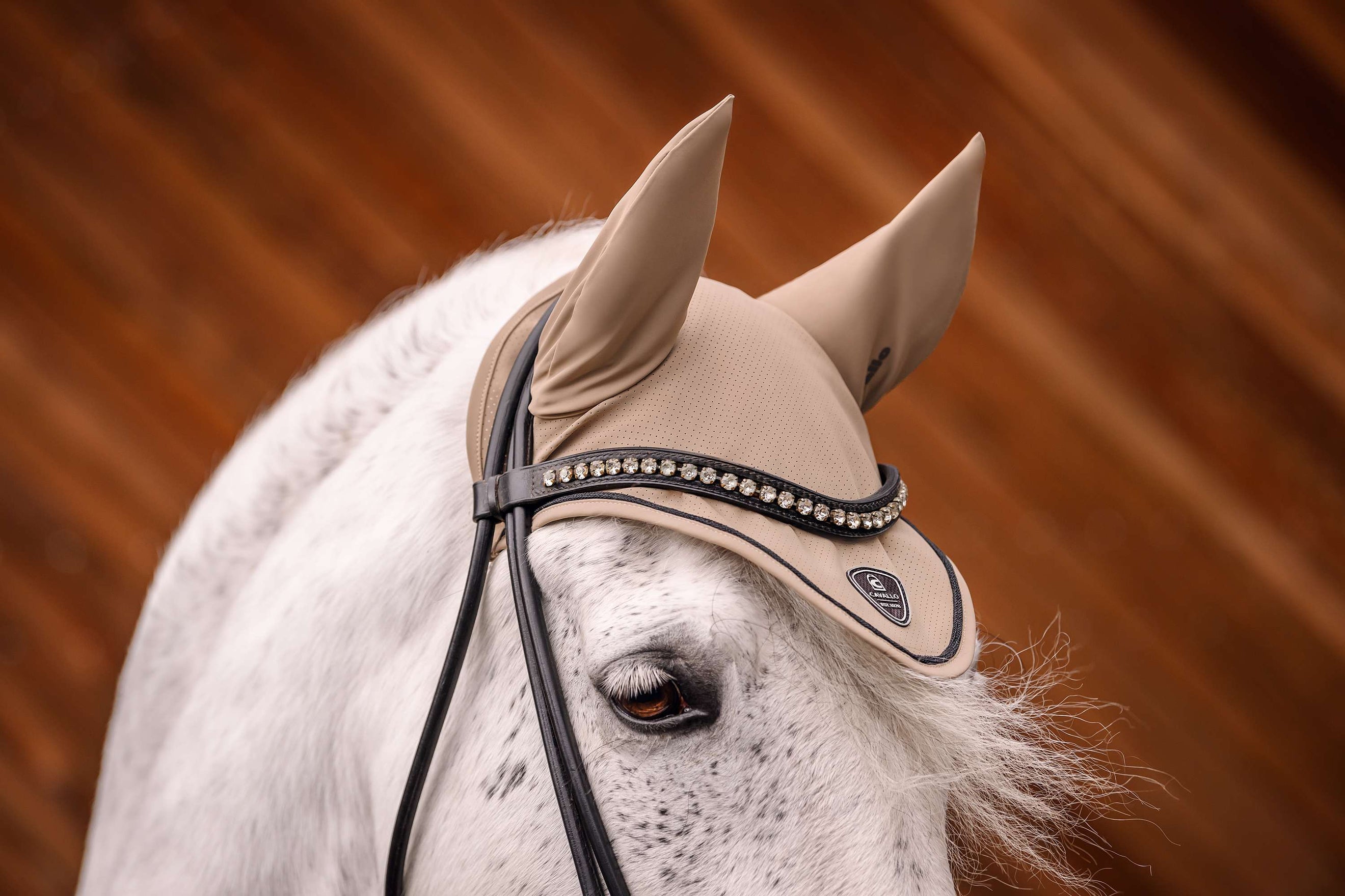 Cavallo Winter 2025 Biscuit