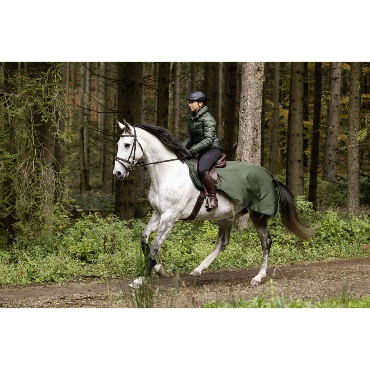 Covalliero Ausreitdecke AW24 Opal Green